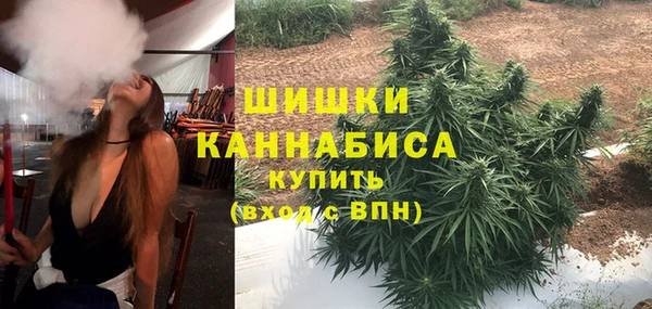шишки Алзамай