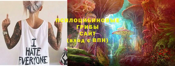 ГАЛЛЮЦИНОГЕННЫЕ ГРИБЫ Абаза