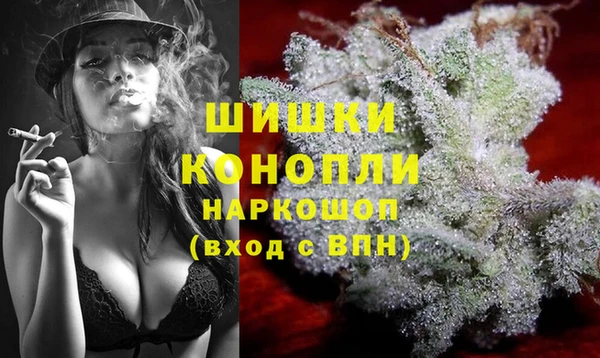 шишки Алзамай