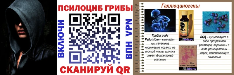 Псилоцибиновые грибы Psilocybe  магазин продажи   Фрязино 